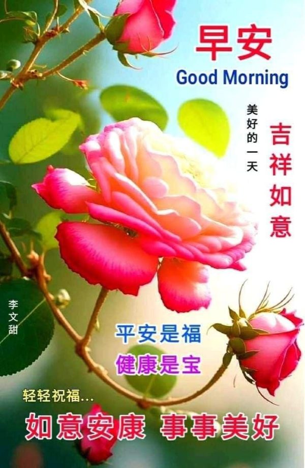 Exploring The Beauty Of Chinese Good Morning Flowers