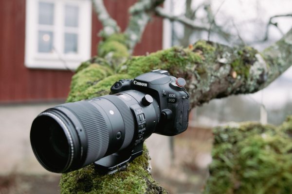 Is Sigma 50-120mm F2.8 the Best Telephoto Zoom for You?